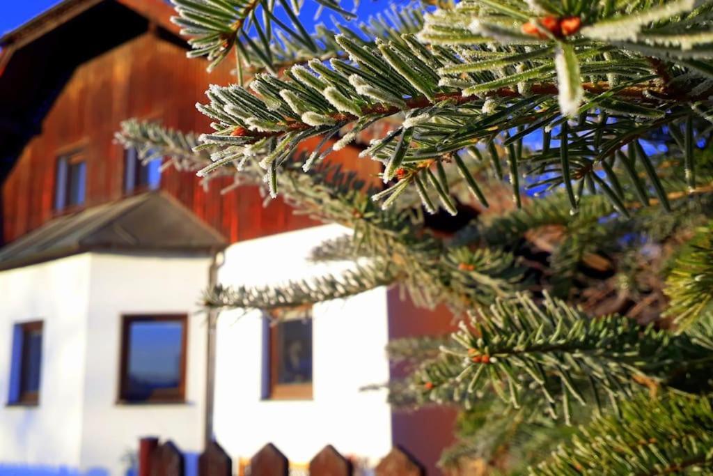 "Stone'S Throw" Krumlov 5 Min By Car, Lipno 15 Min By Car, 2 Bdrooms,Playroom Kajov Exterior photo